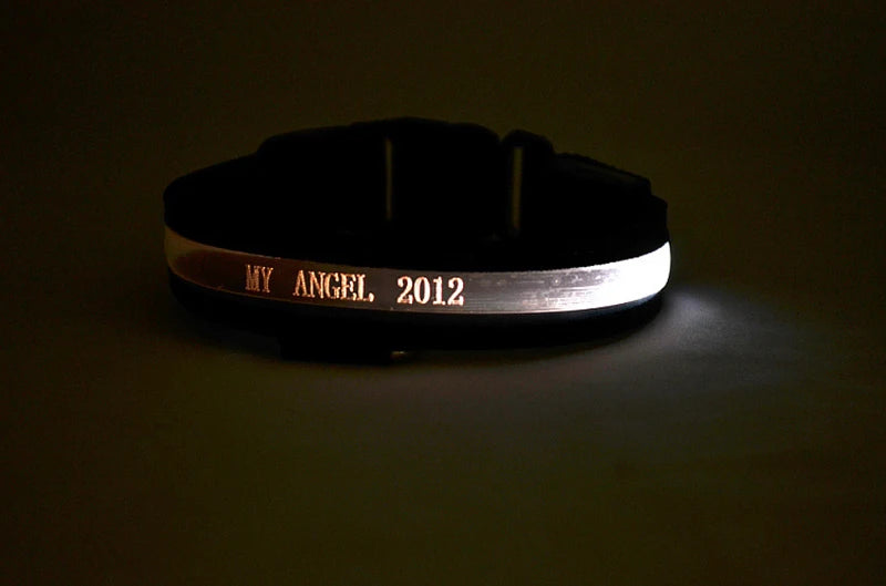 Engraved LED Dog Collar - Custom ID Tag with USB Light