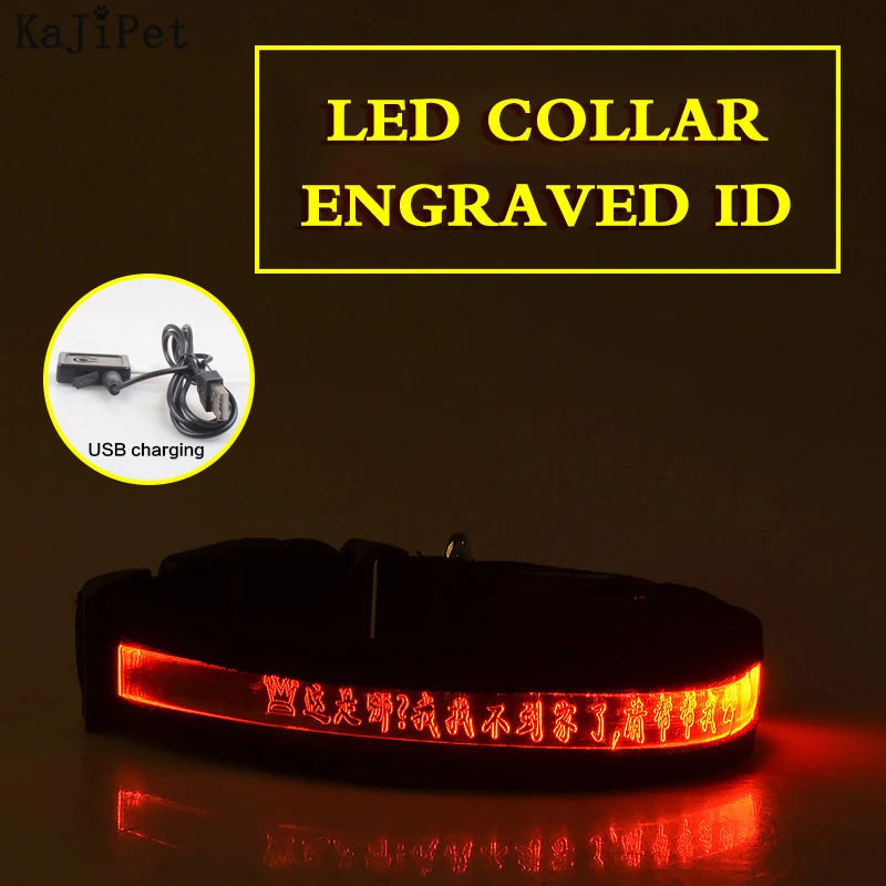 Engraved ID LED Dog Collar Luminous USB Custom Dog Tag Personalized Nylon Pet Dog Collar Led USB Light Night Safety Collar Perro