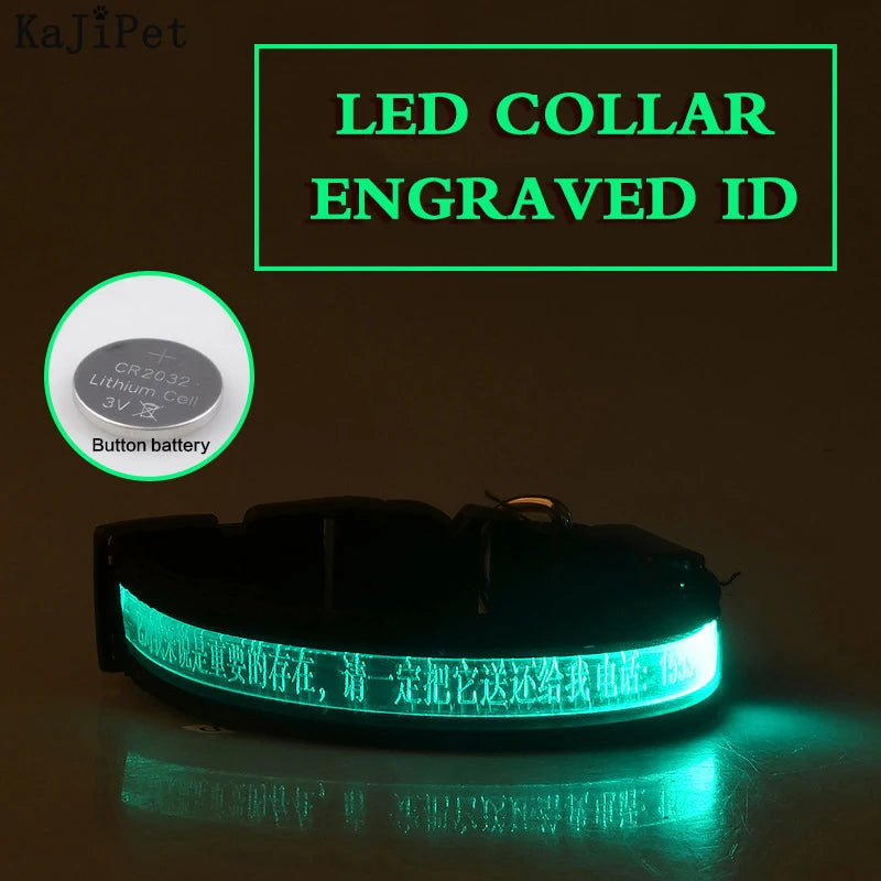 Engraved ID LED Dog Collar Luminous USB Custom Dog Tag Personalized Nylon Pet Dog Collar Led USB Light Night Safety Collar Perro