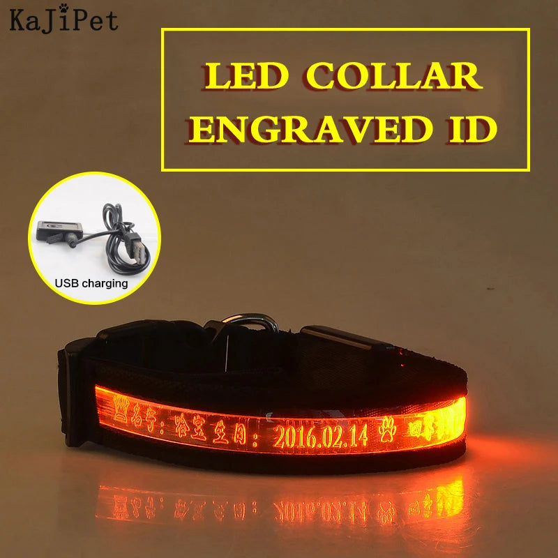Engraved ID LED Dog Collar Luminous USB Custom Dog Tag Personalized Nylon Pet Dog Collar Led USB Light Night Safety Collar Perro