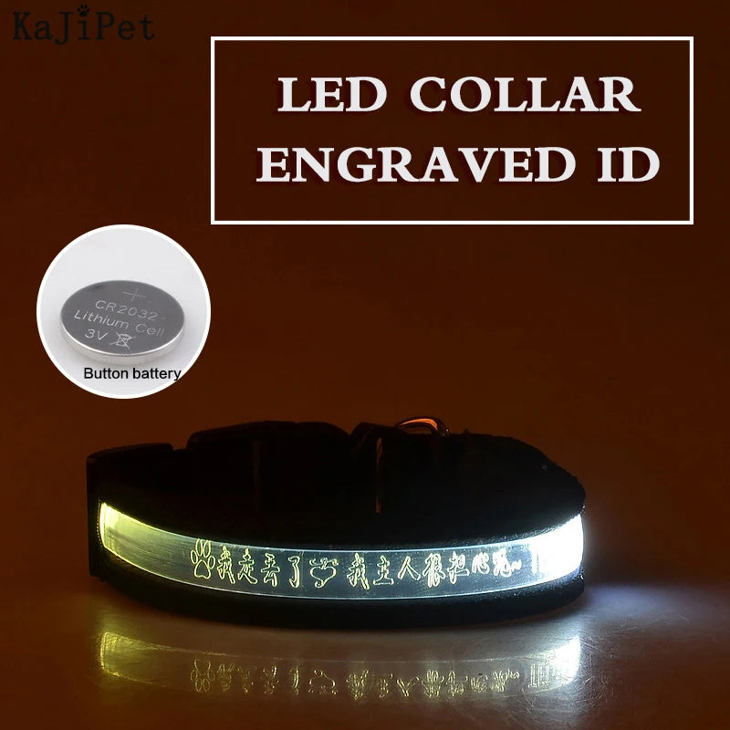 Engraved ID LED Dog Collar Luminous USB Custom Dog Tag Personalized Nylon Pet Dog Collar Led USB Light Night Safety Collar Perro