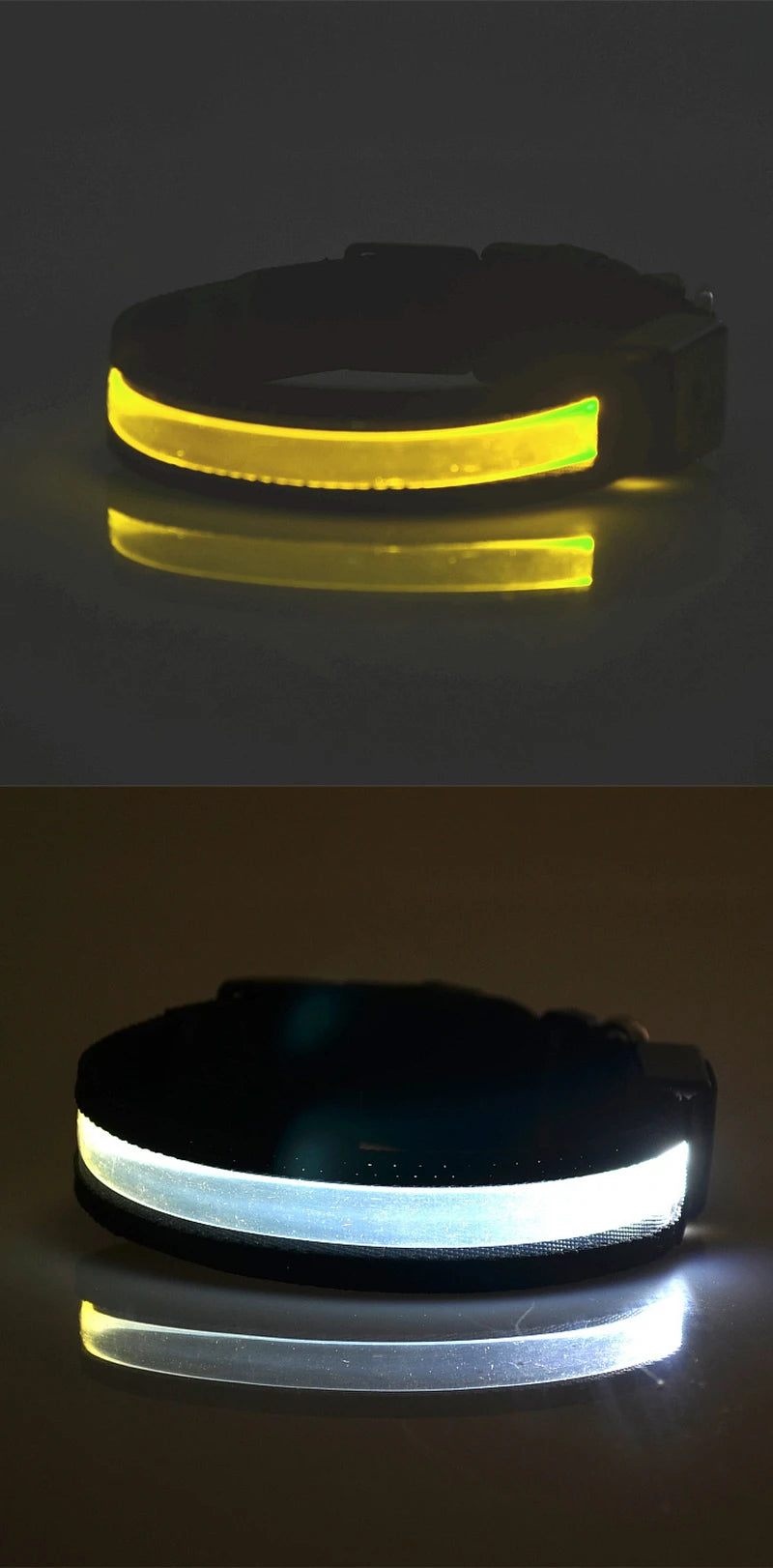 Engraved LED Dog Collar - Custom ID Tag with USB Light