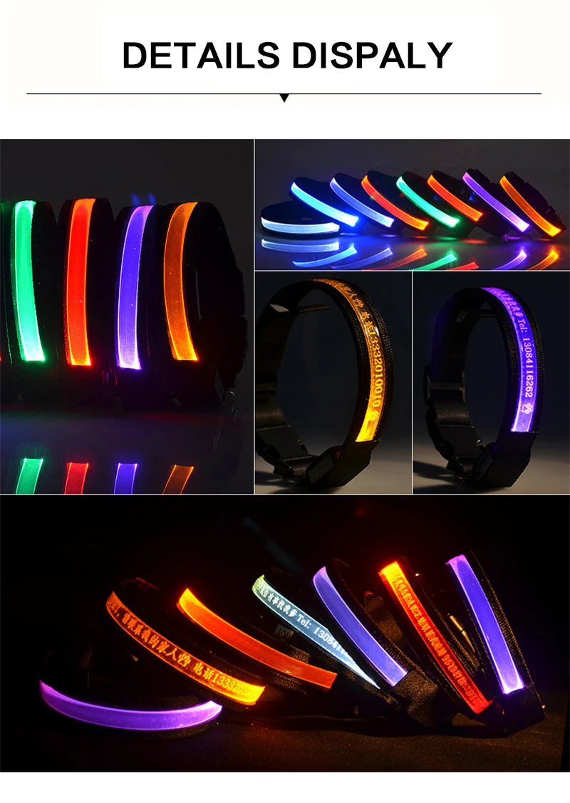 Engraved LED Dog Collar - Custom ID Tag with USB Light