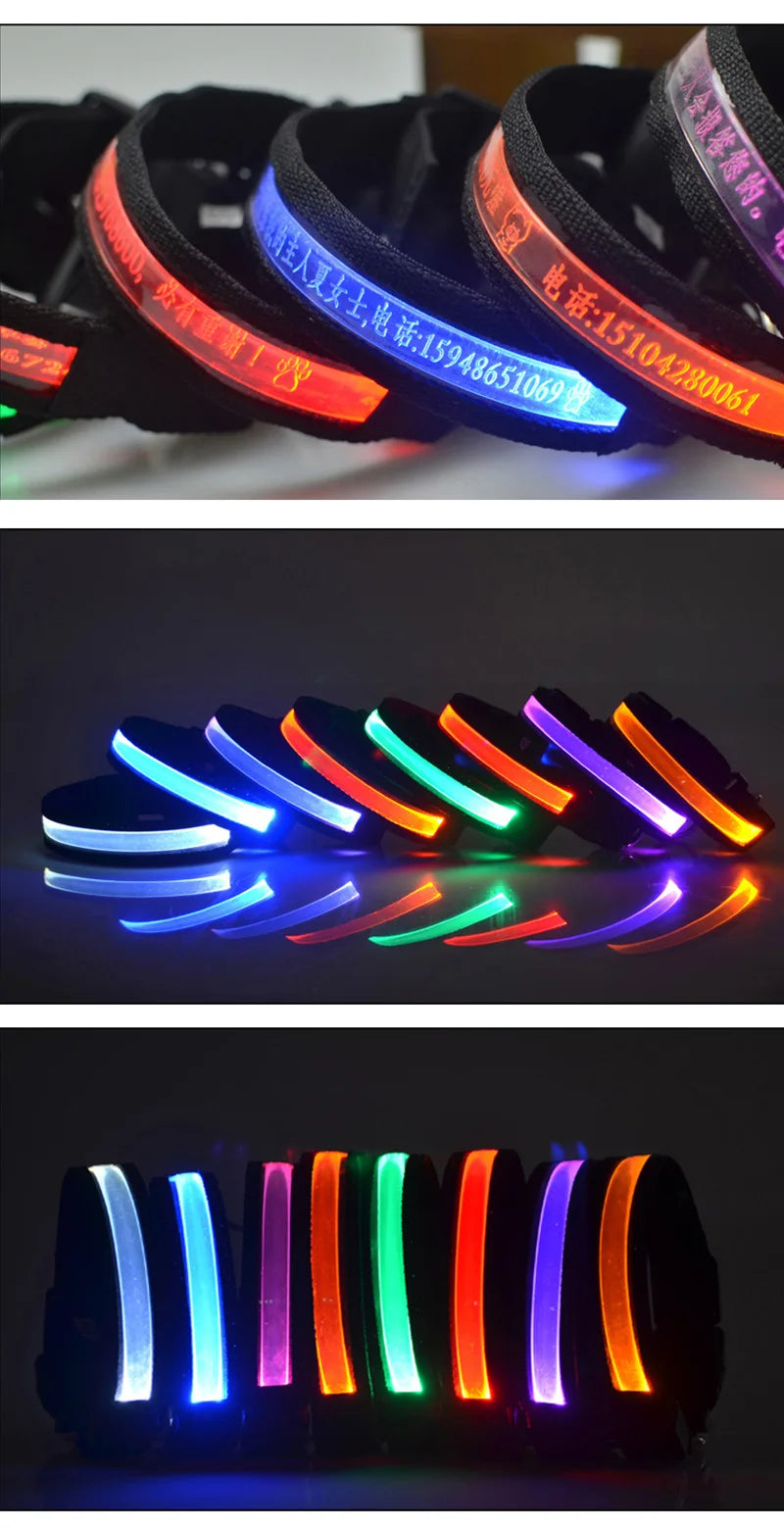 Engraved LED Dog Collar - Custom ID Tag with USB Light