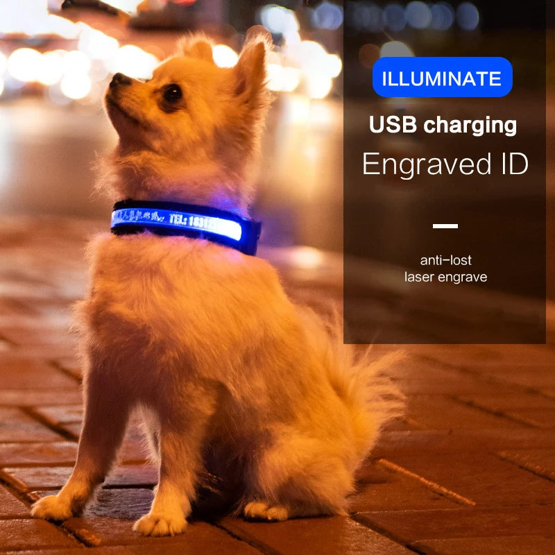 Engraved LED Dog Collar - Custom ID Tag with USB Light