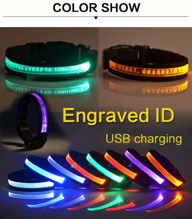 Engraved LED Dog Collar - Custom ID Tag with USB Light