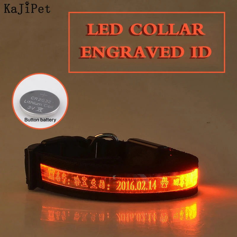 Engraved ID LED Dog Collar Luminous USB Custom Dog Tag Personalized Nylon Pet Dog Collar Led USB Light Night Safety Collar Perro