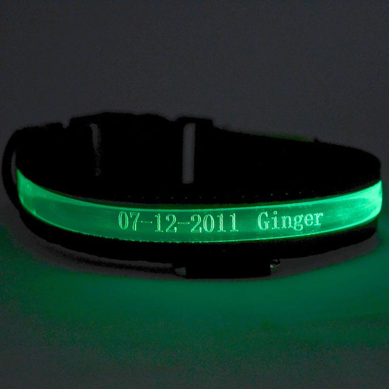 Engraved LED Dog Collar - Custom ID Tag with USB Light