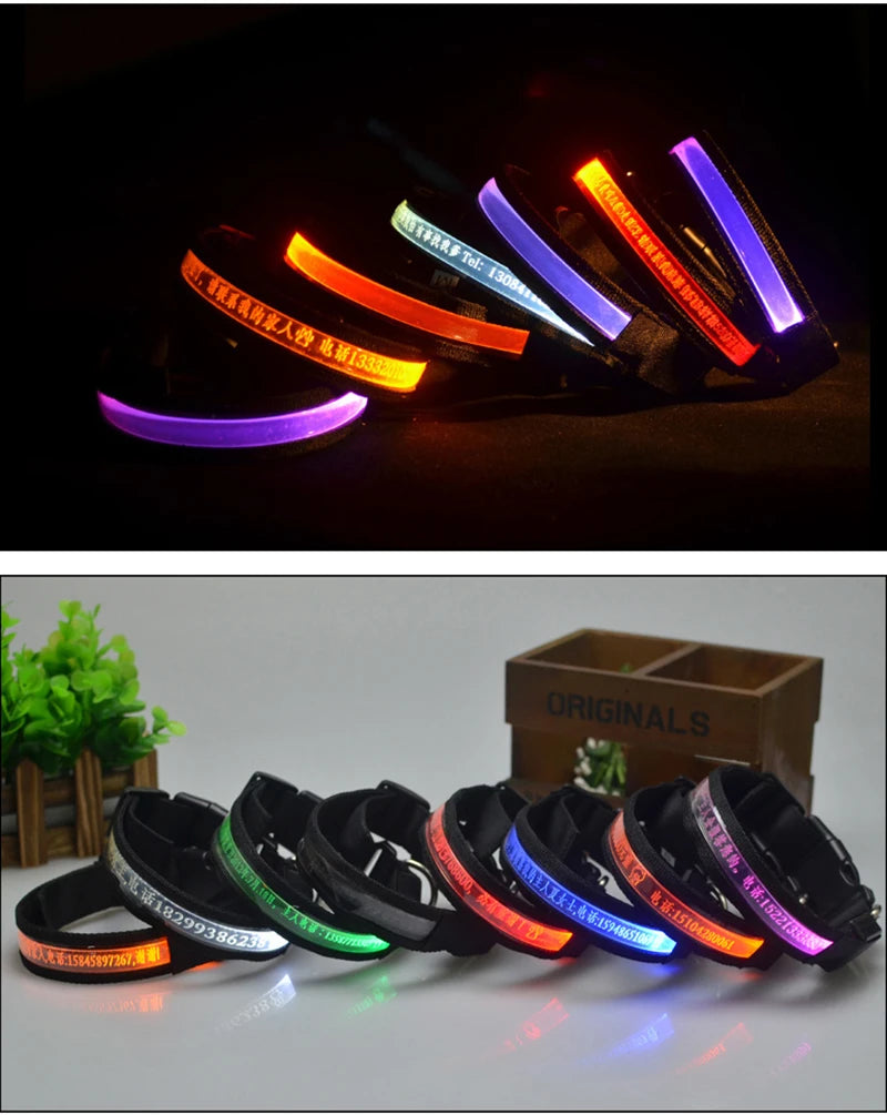Engraved LED Dog Collar - Custom ID Tag with USB Light