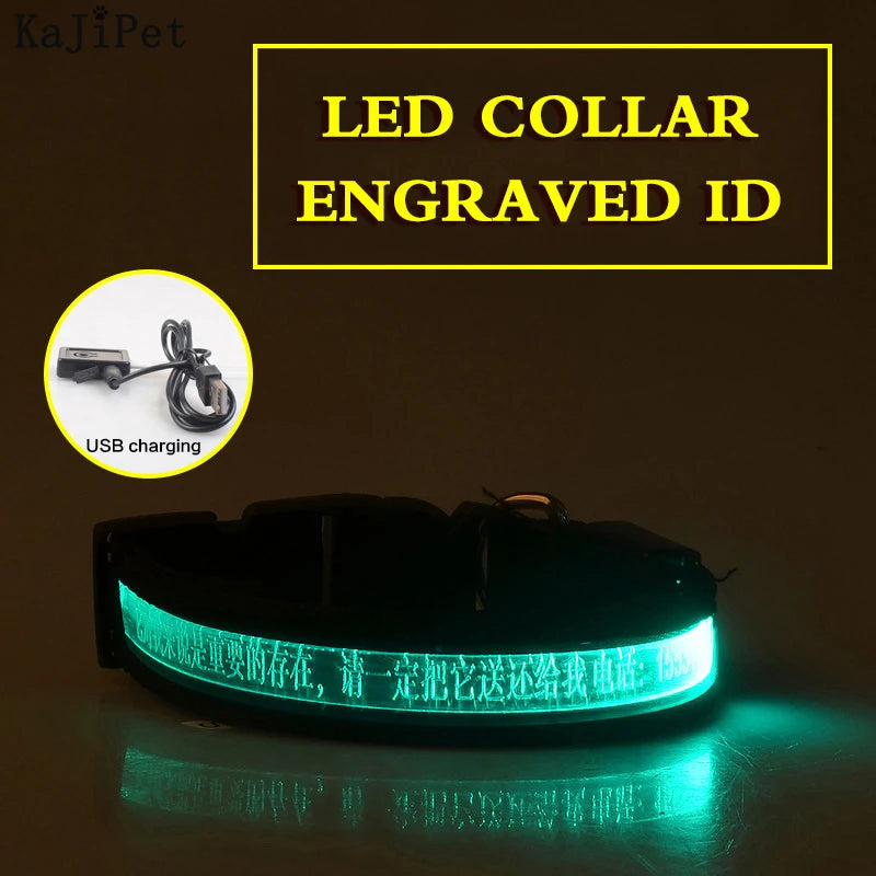 Engraved ID LED Dog Collar Luminous USB Custom Dog Tag Personalized Nylon Pet Dog Collar Led USB Light Night Safety Collar Perro