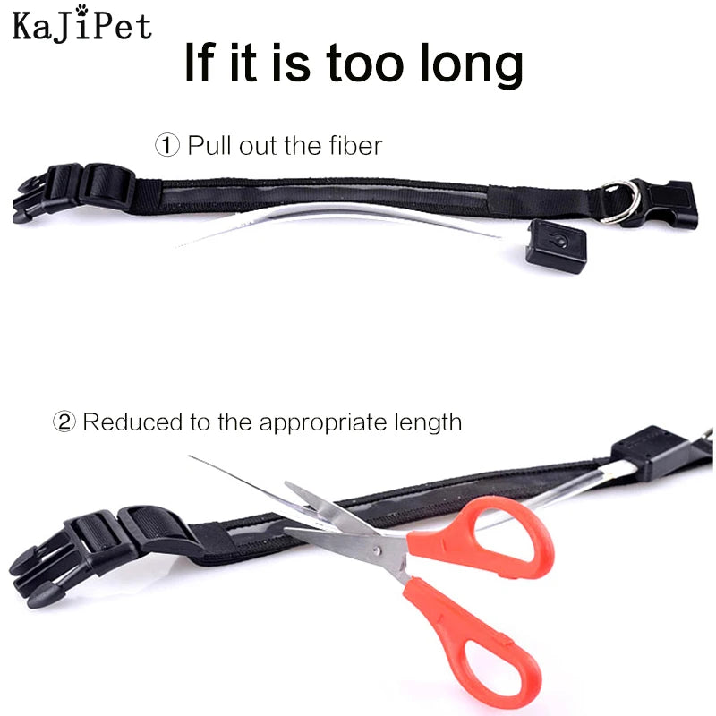 Engraved ID LED Dog Collar Luminous USB Custom Dog Tag Personalized Nylon Pet Dog Collar Led USB Light Night Safety Collar Perro