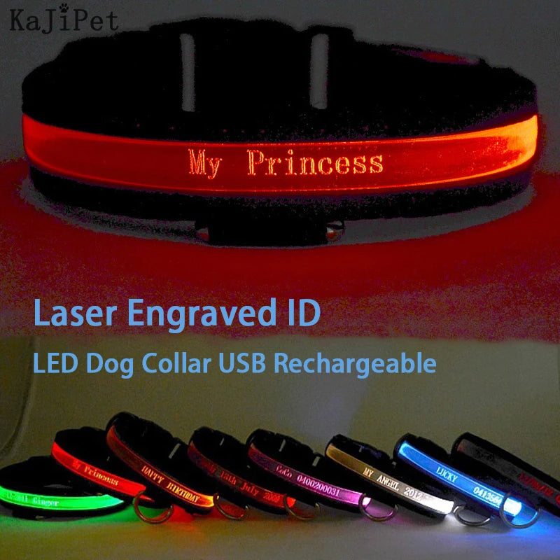 Engraved LED Dog Collar - Custom ID Tag with USB Light