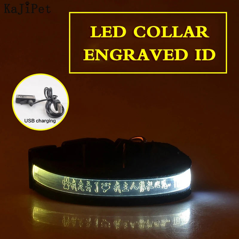 Engraved ID LED Dog Collar Luminous USB Custom Dog Tag Personalized Nylon Pet Dog Collar Led USB Light Night Safety Collar Perro