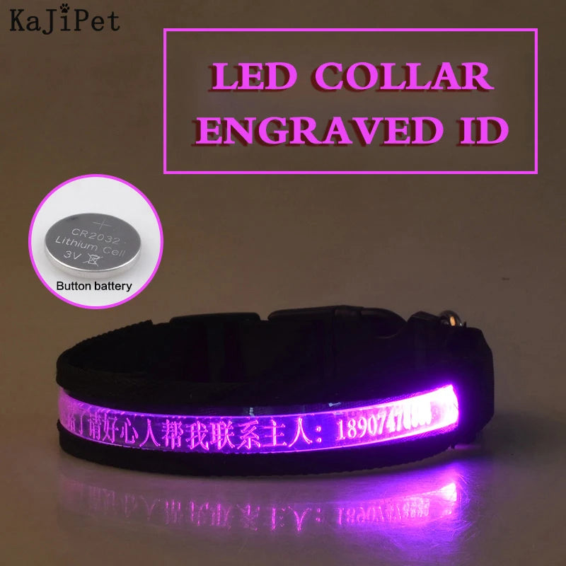 Engraved ID LED Dog Collar Luminous USB Custom Dog Tag Personalized Nylon Pet Dog Collar Led USB Light Night Safety Collar Perro