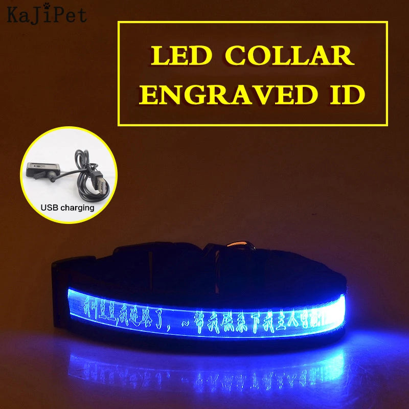 Engraved ID LED Dog Collar Luminous USB Custom Dog Tag Personalized Nylon Pet Dog Collar Led USB Light Night Safety Collar Perro