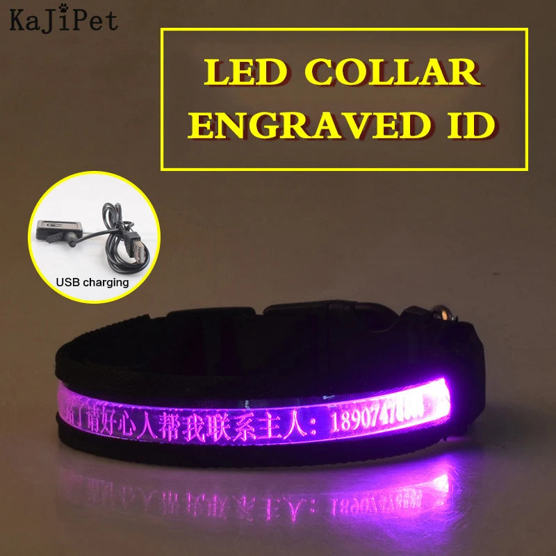 Engraved ID LED Dog Collar Luminous USB Custom Dog Tag Personalized Nylon Pet Dog Collar Led USB Light Night Safety Collar Perro