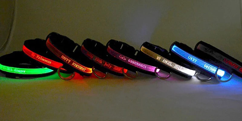 Engraved LED Dog Collar - Custom ID Tag with USB Light