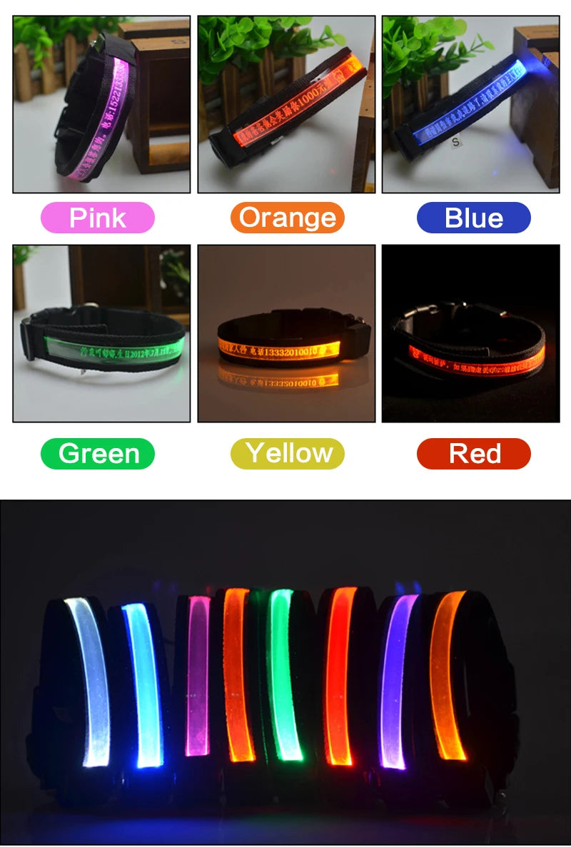 Engraved LED Dog Collar - Custom ID Tag with USB Light