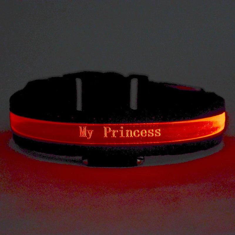Engraved LED Dog Collar - Custom ID Tag with USB Light