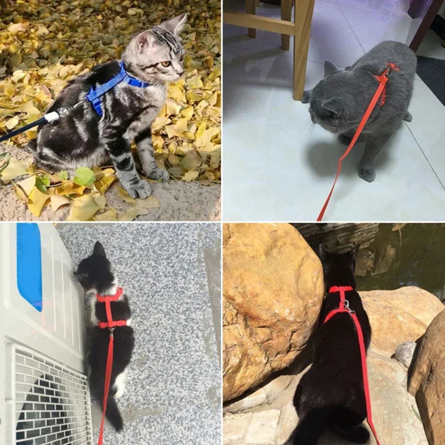 Cat Harness & Leash Set - Escape-Proof H-Style Vest