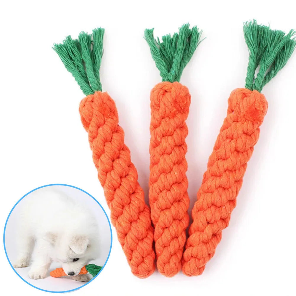 Dog Carrot Rope Toy - Braided Chew Tug