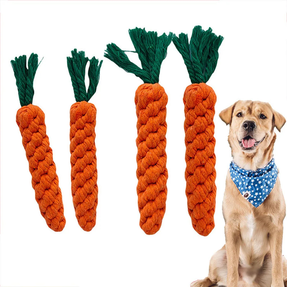 Dog Carrot Rope Toy - Braided Chew Tug