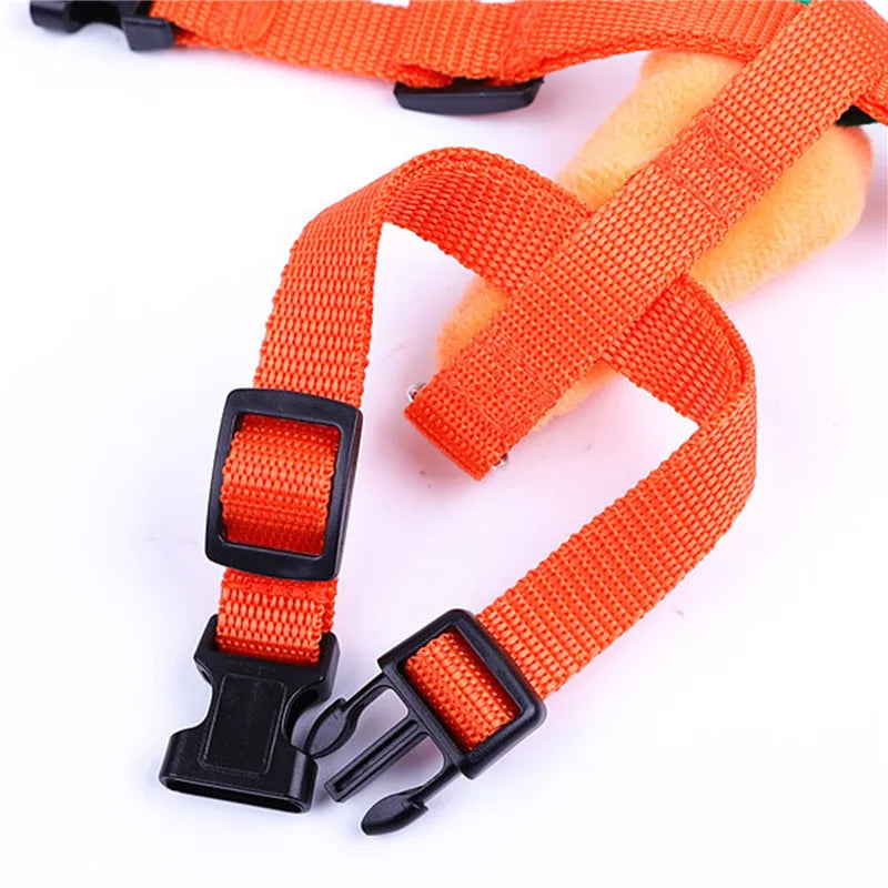 Small Pet Harness & Leash - Adjustable Chest Strap