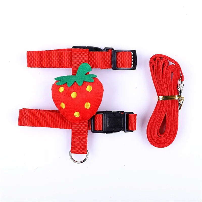 Small Pet Harness & Leash - Adjustable Chest Strap
