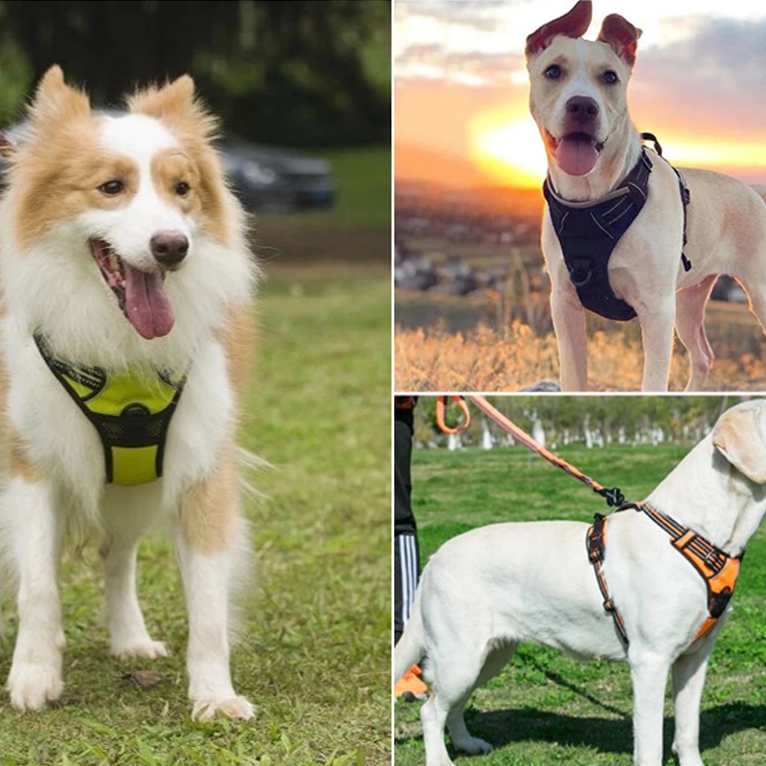 Dog Harness No Pull Pet Harness Adjustable Padded Dog Vest with Easy Control Handles for Large Dogs Adjustable Oxford Vest