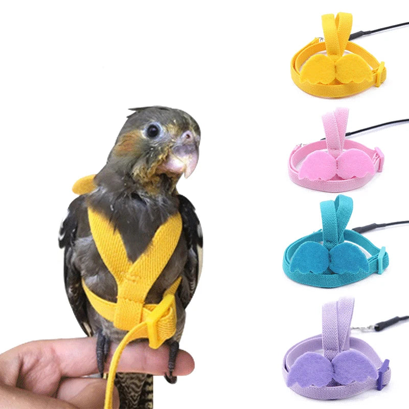 Parrot Flight Harness & Leash - Outdoor Training Suit