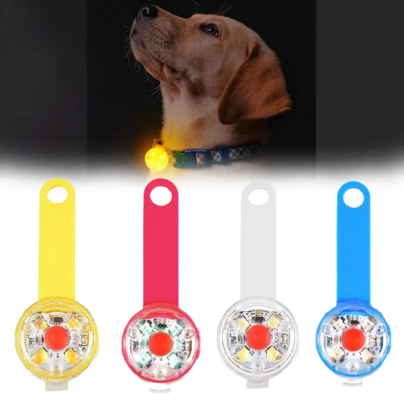 Waterproof USB Rechargeable LED Dog Collar Glowing Pendant 3 Light Modes 8 Hours Battery High Brightness Anti Loss Night Safety
