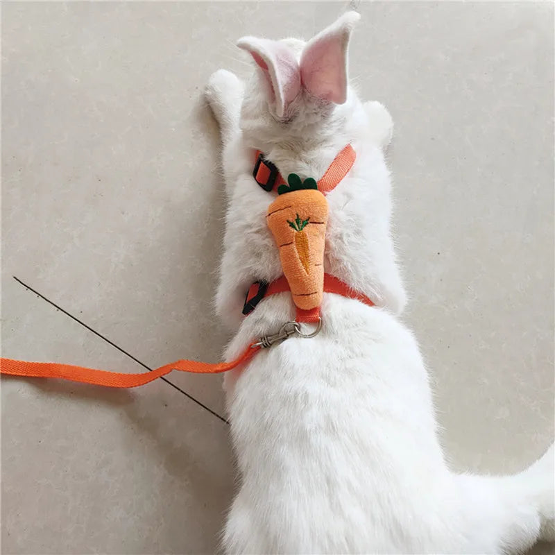 Small Pet Harness & Leash - Adjustable Chest Strap
