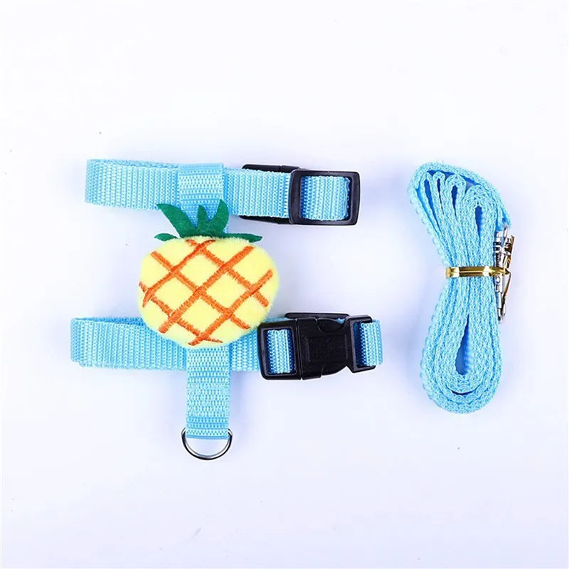 Small Pet Harness & Leash - Adjustable Chest Strap
