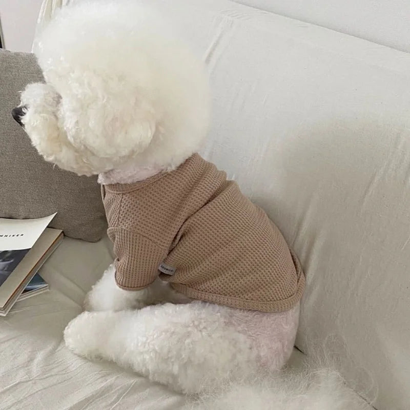 Dog Spring Pullover - Fashion Shirt for Small Dogs