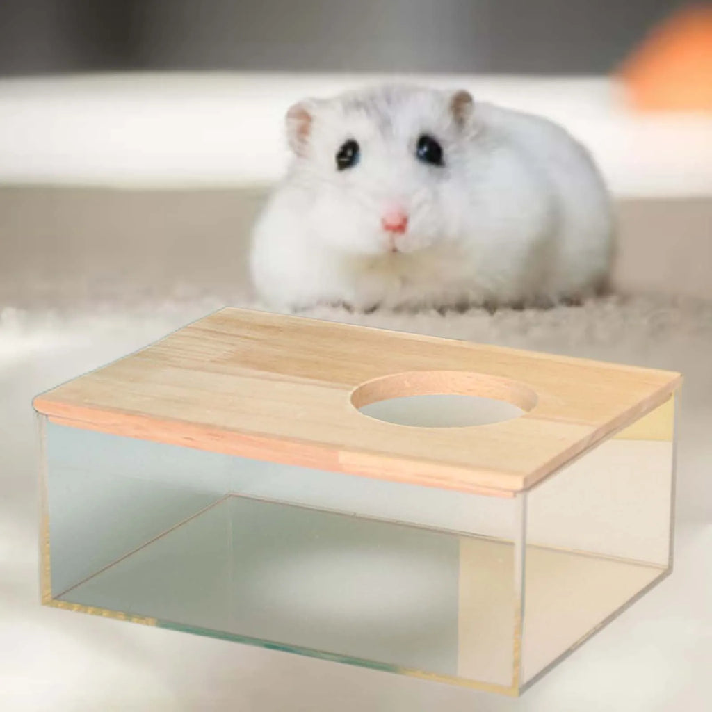 Hamster Bathroom House - Clear Sand Bath Box