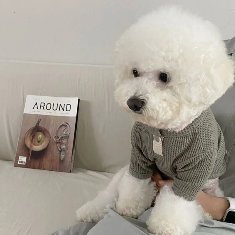 Dog Spring Pullover - Fashion Shirt for Small Dogs