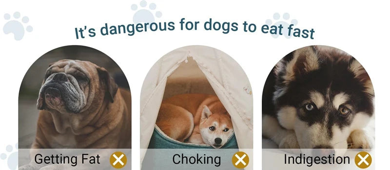 Slow Feeder Dog Bowl Anti Choking Watering & Feeding Supplies Puzzle Feeder Bowl Non-slip Slow Eat Bowl for Dogs Large Small