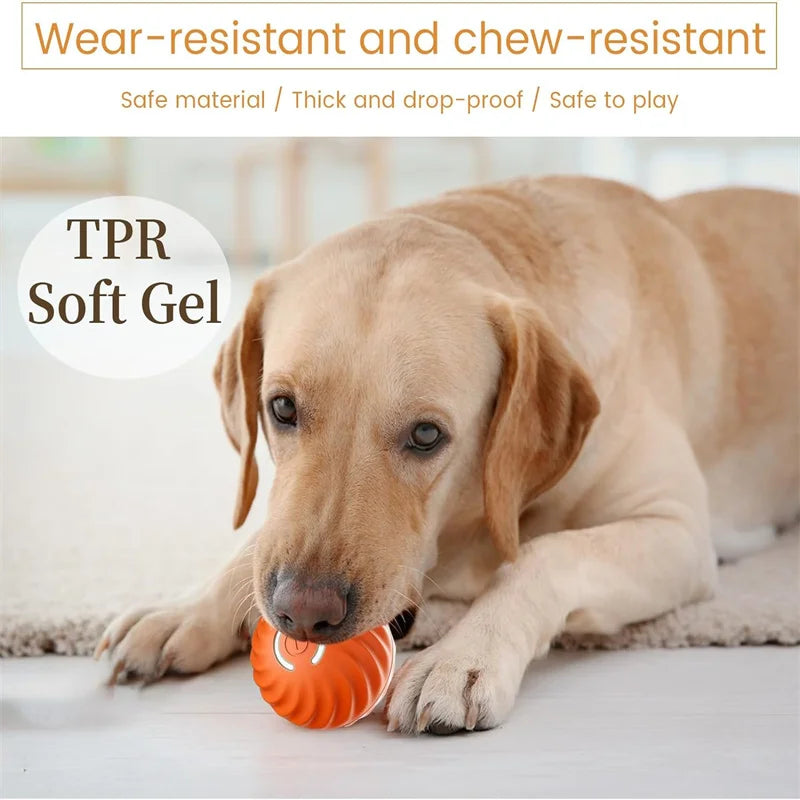 Smart Dog Ball - Electric Moving Interactive Toy USB