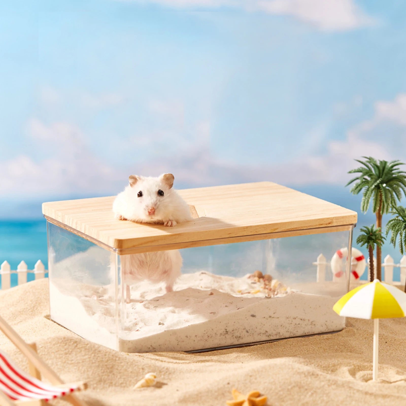Hamster Bathroom House - Clear Sand Bath Box