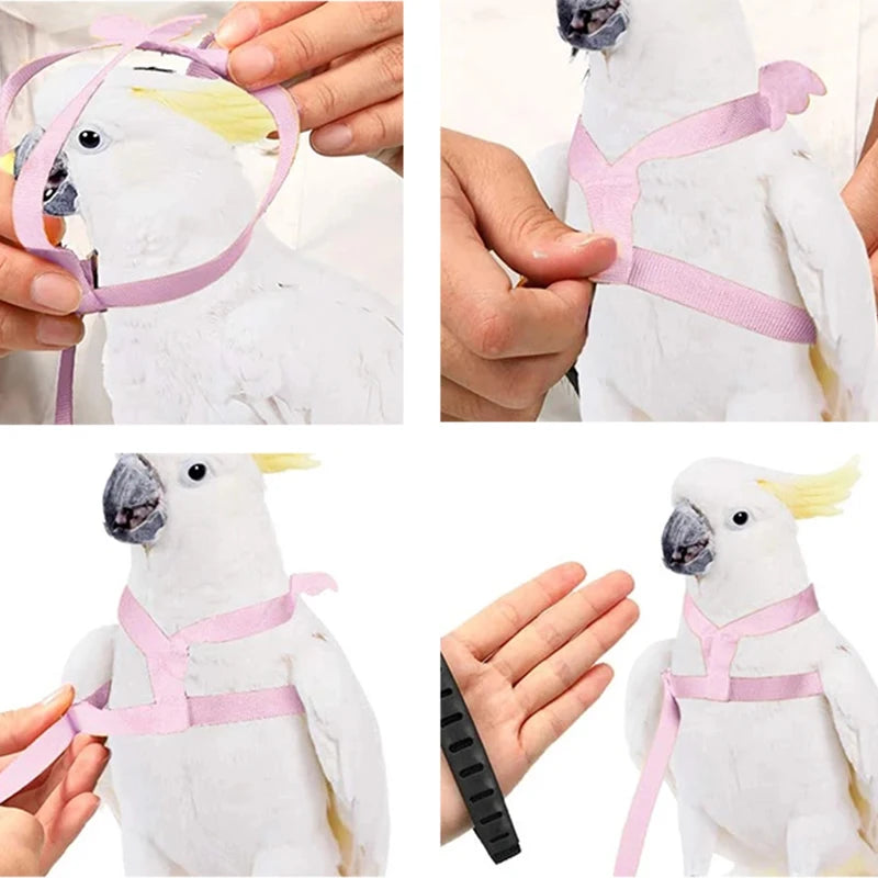 Parrot Flight Harness & Leash - Outdoor Training Suit