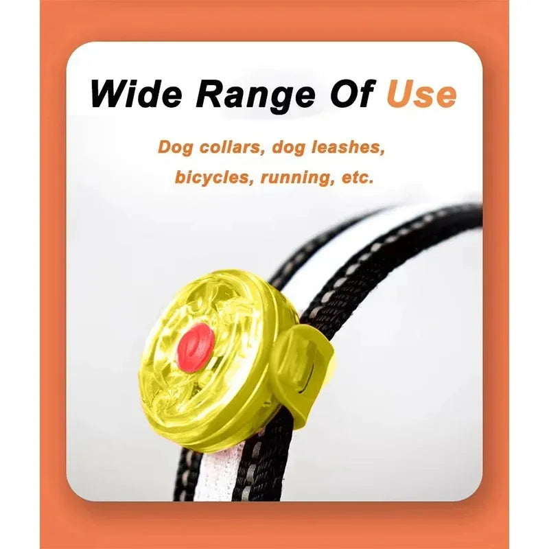LED Dog Collar Light - USB Rechargeable Safety Pendant