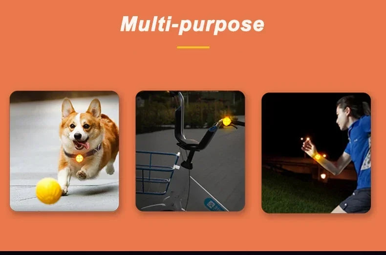 LED Dog Collar Light - USB Rechargeable Safety Pendant