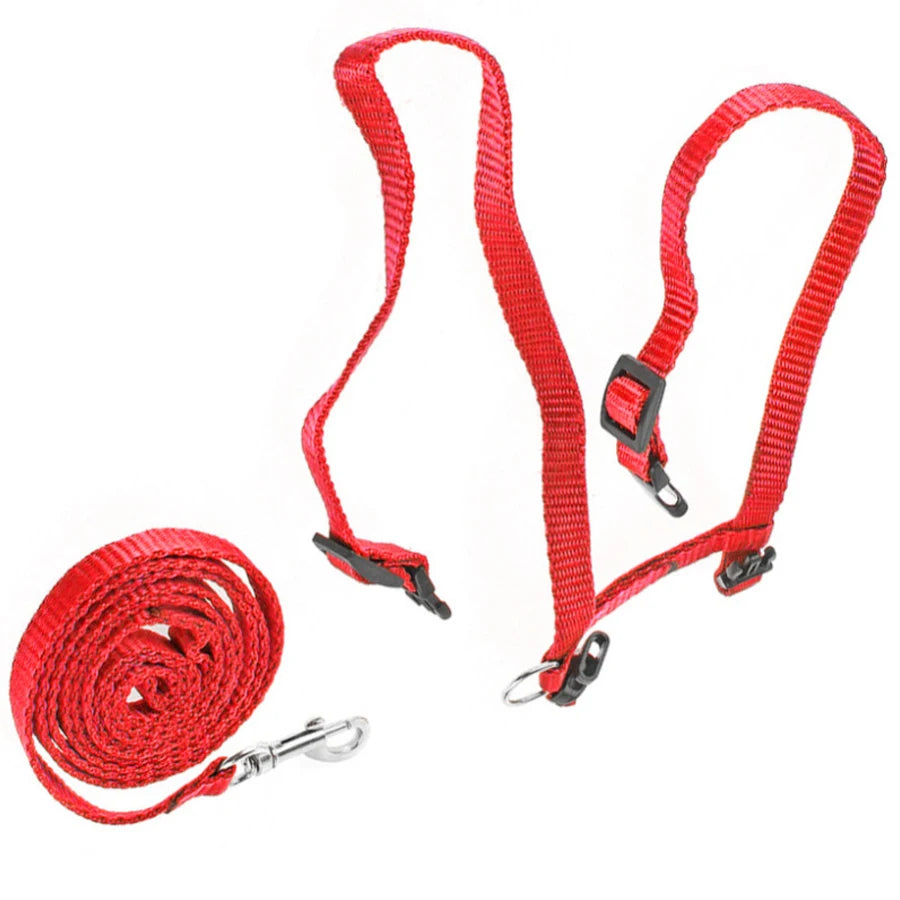 Cat Harness & Leash Set - Escape-Proof H-Style Vest