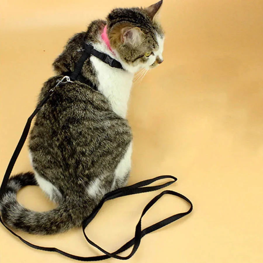 Cat Harness & Leash Set - Escape-Proof H-Style Vest