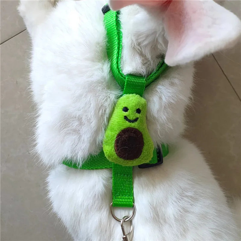Small Pet Harness & Leash - Adjustable Chest Strap