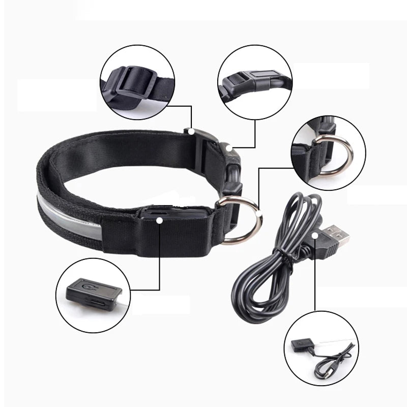 Engraved LED Dog Collar - Custom ID Tag with USB Light