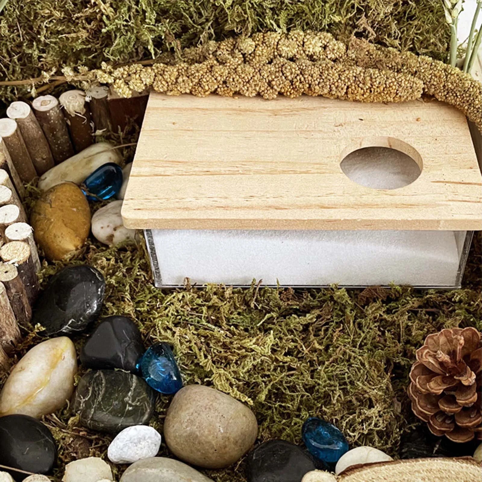 Hamster Bathroom House - Clear Sand Bath Box