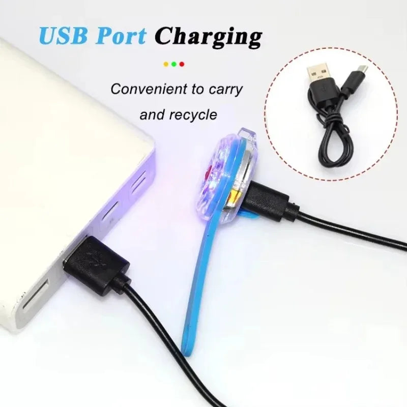 LED Dog Collar Light USB Rechargeable Waterproof Safety Night Walking Flash Pendant Anti-Lost Glow Tag for Puppy Pet Accessories