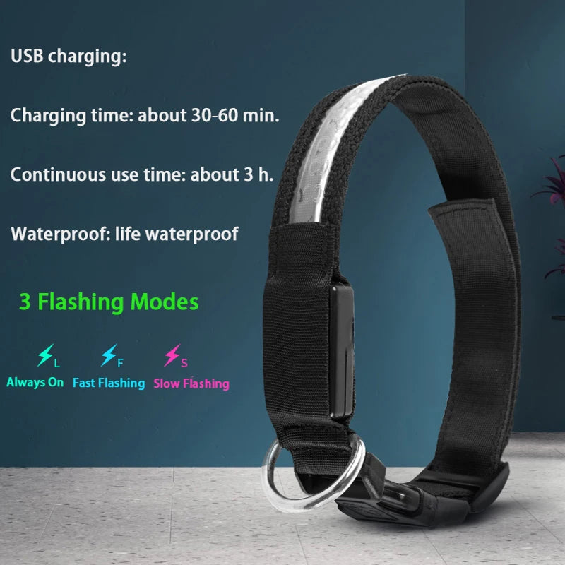 Engraved LED Dog Collar - Custom ID Tag with USB Light