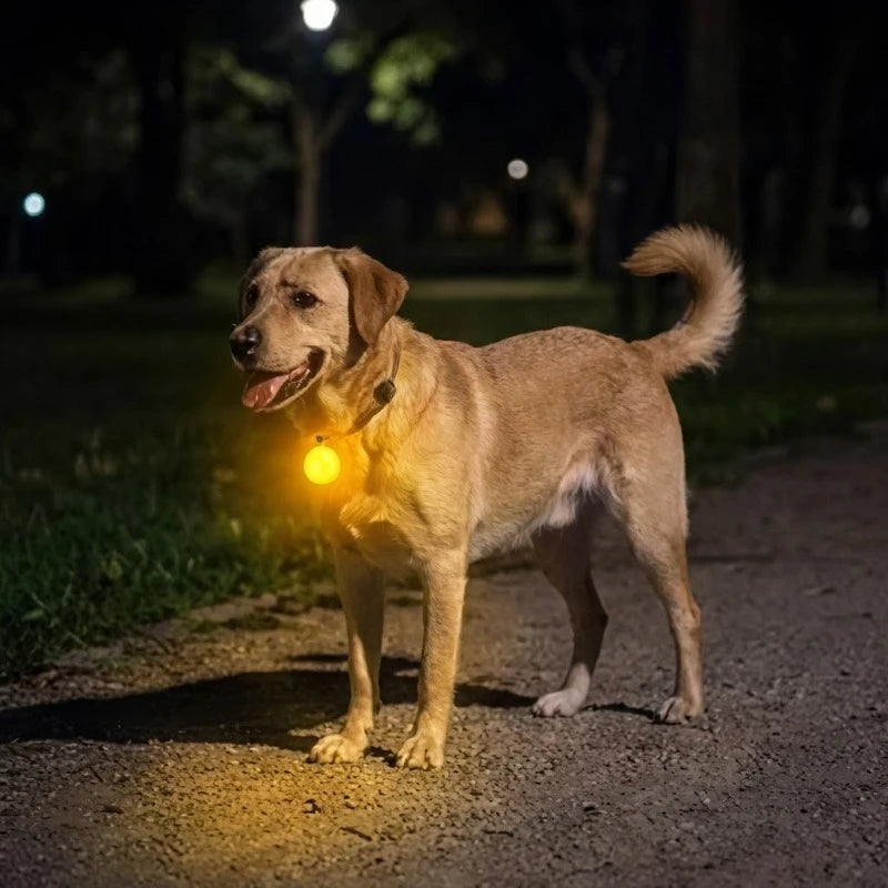 LED Dog Collar Light USB Rechargeable Waterproof Safety Night Walking Flash Pendant Anti-Lost Glow Tag for Puppy Pet Accessories